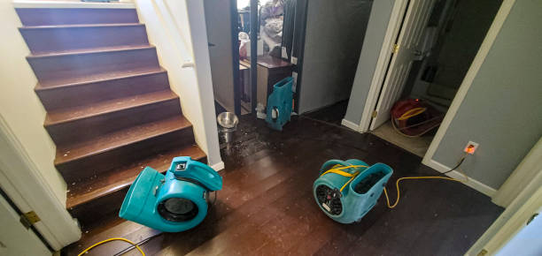 Best Water damage cleanup near me  in Clear Lake, IA