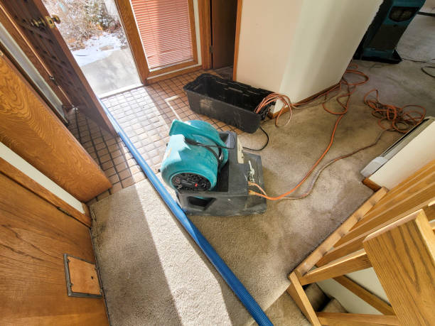 Best Flood restoration services  in Clear Lake, IA