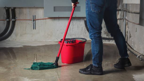 Best Water damage restoration process  in Clear Lake, IA