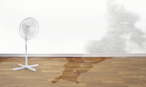 Carpet water damage restoration in Clear Lake, IA