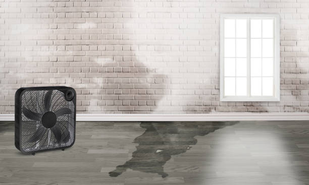 Best Fire Damage Restoration  in Clear Lake, IA