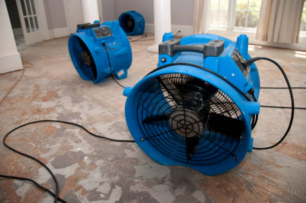 Best Water damage restoration near me  in Clear Lake, IA
