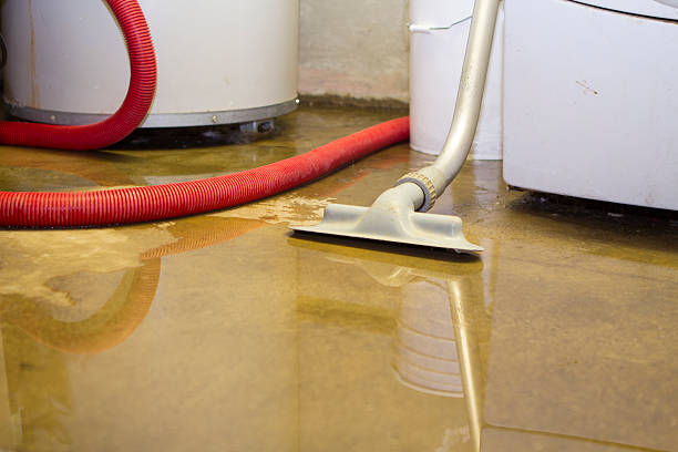 Best Water damage restoration near me  in Clear Lake, IA