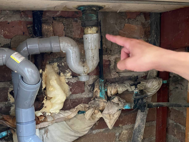 Best Flooded house restoration  in Clear Lake, IA