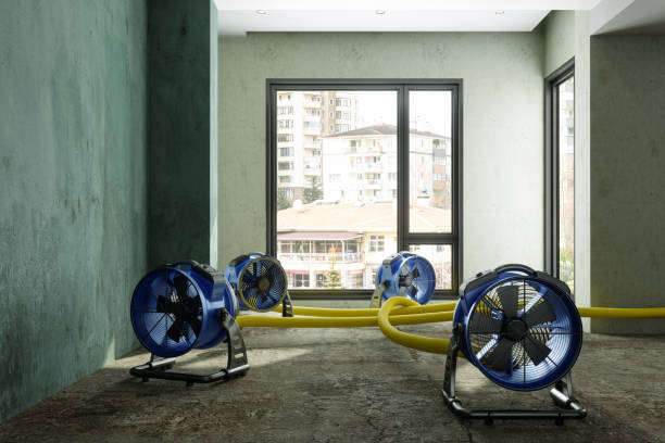 Best Mold removal after water damage  in Clear Lake, IA