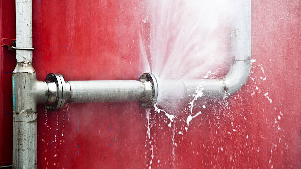Best Basement water damage restoration  in Clear Lake, IA